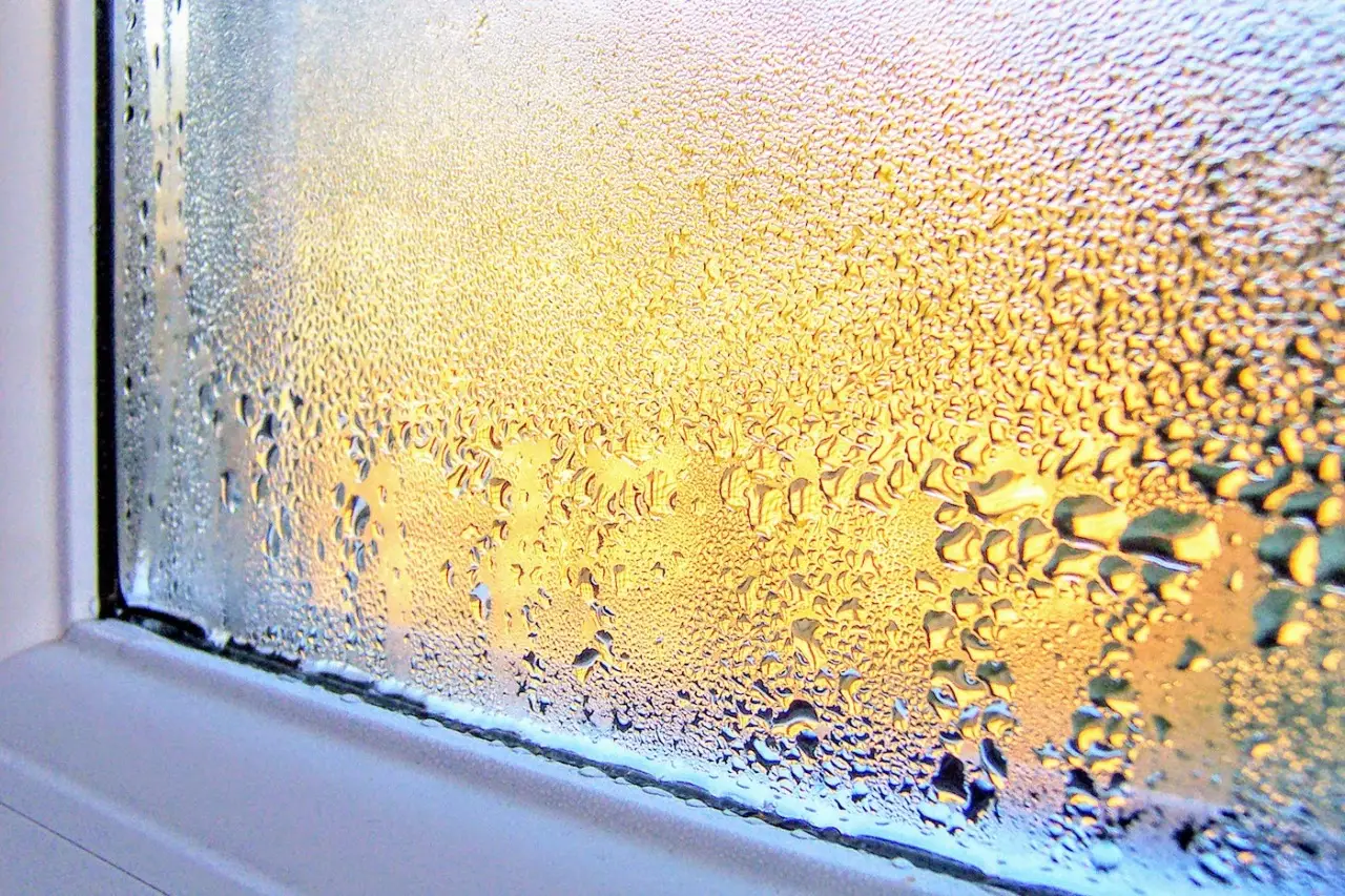 Umidità in casa e condensa sui vetri, quali rimedi? Ecco la causa nascosta che non immagini