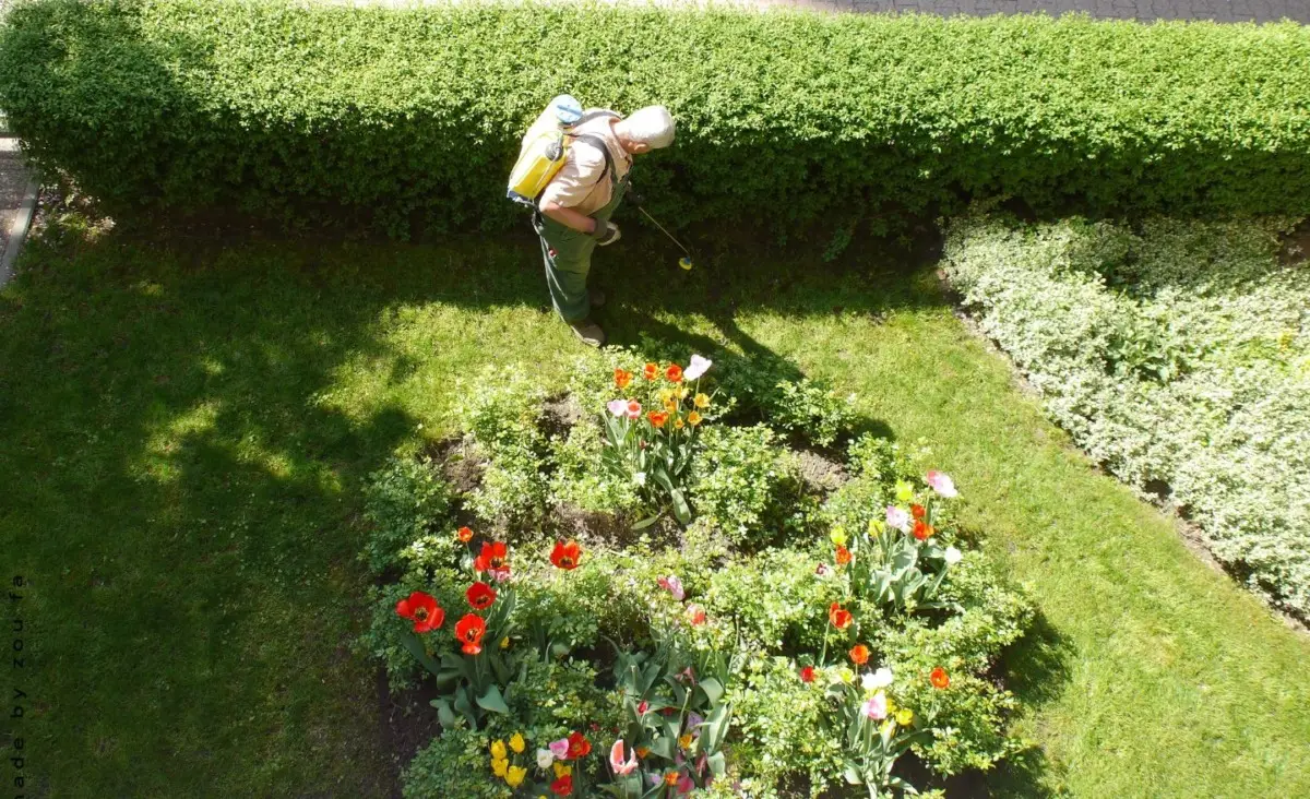 Lavorare all’aria aperta e circondati dal verde: ecco il percorso per diventare giardiniere