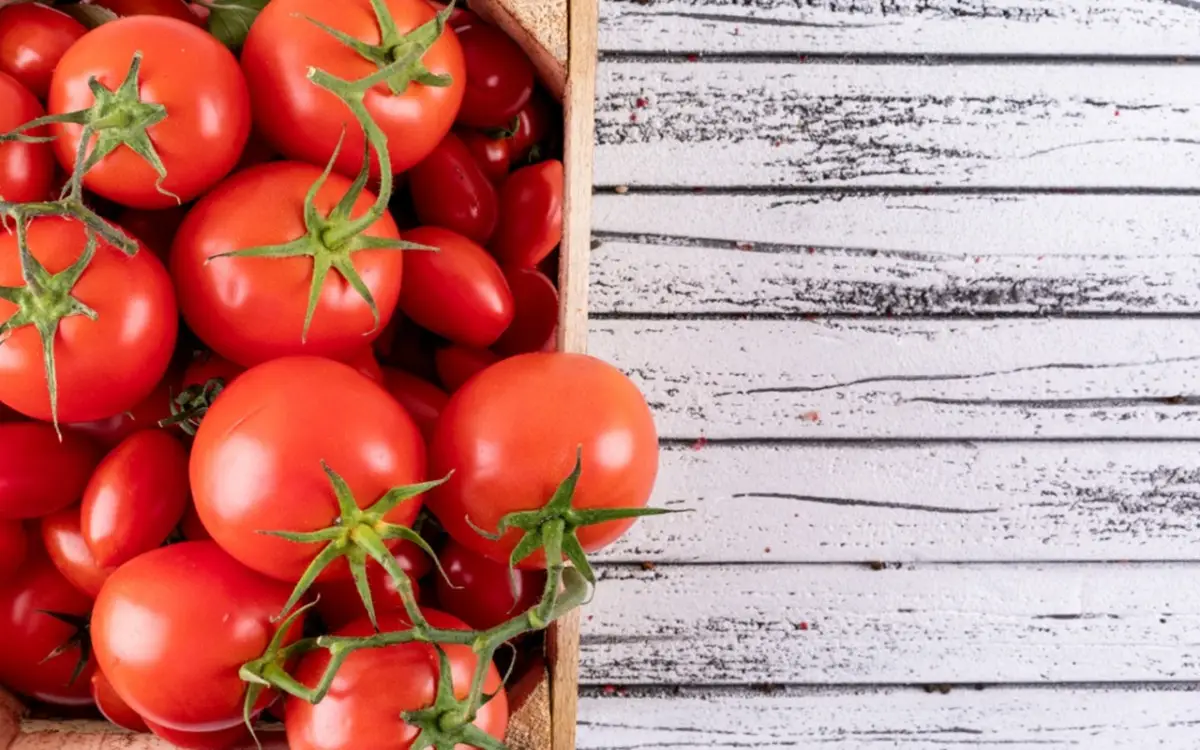 Pomodori stentati o con poco sapore? Ecco il concime ideale per un raccolto abbondante
