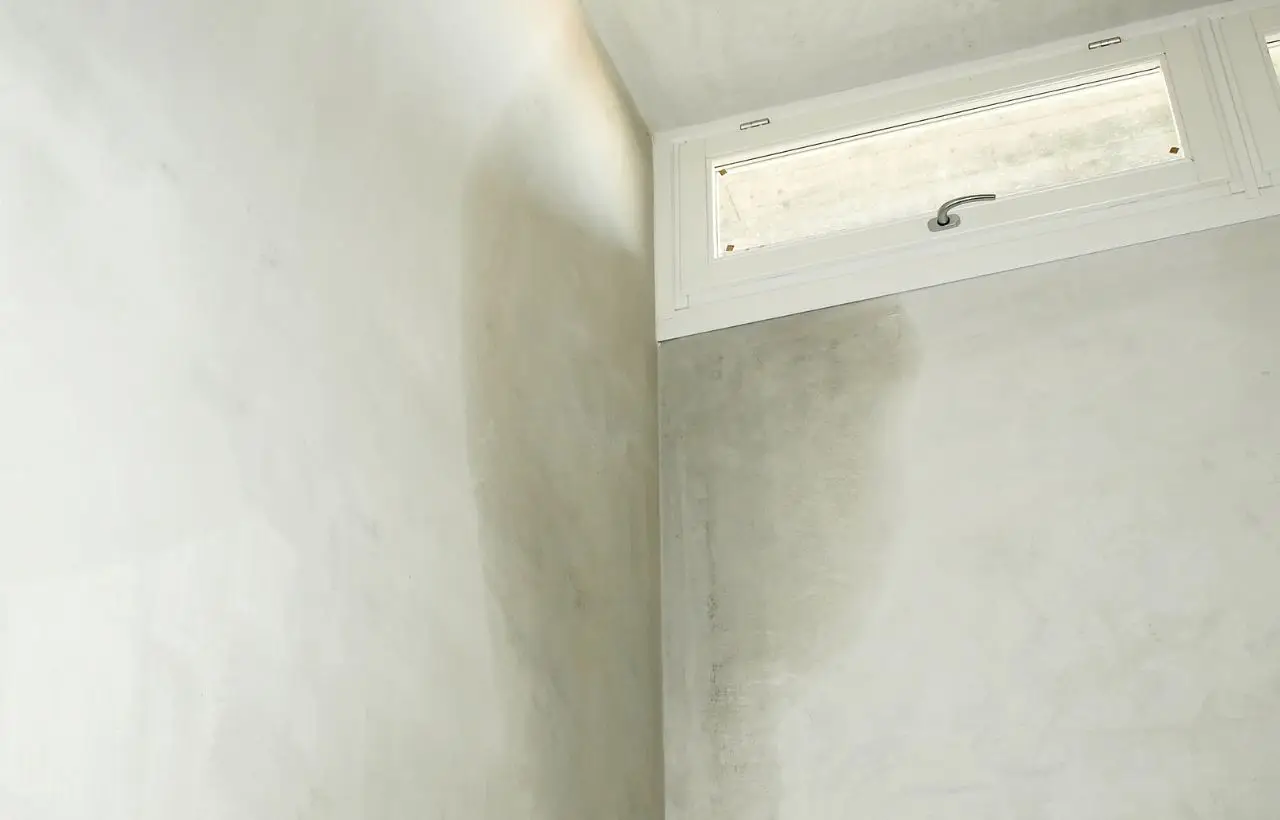 Umidità in casa: ecco il valore ideale per non ammalarti e proteggere i muri