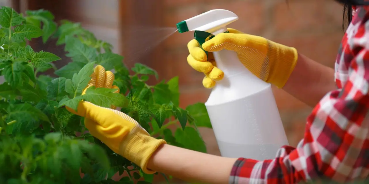 Attenzione a questo insetticida comune: ecco gli effetti collaterali pericolosi che non conosci