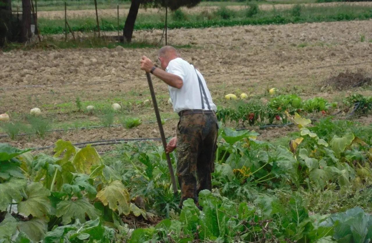 Devi lavorare il terreno? Ecco i costi reali della fresatura che i contadini non ti dicono