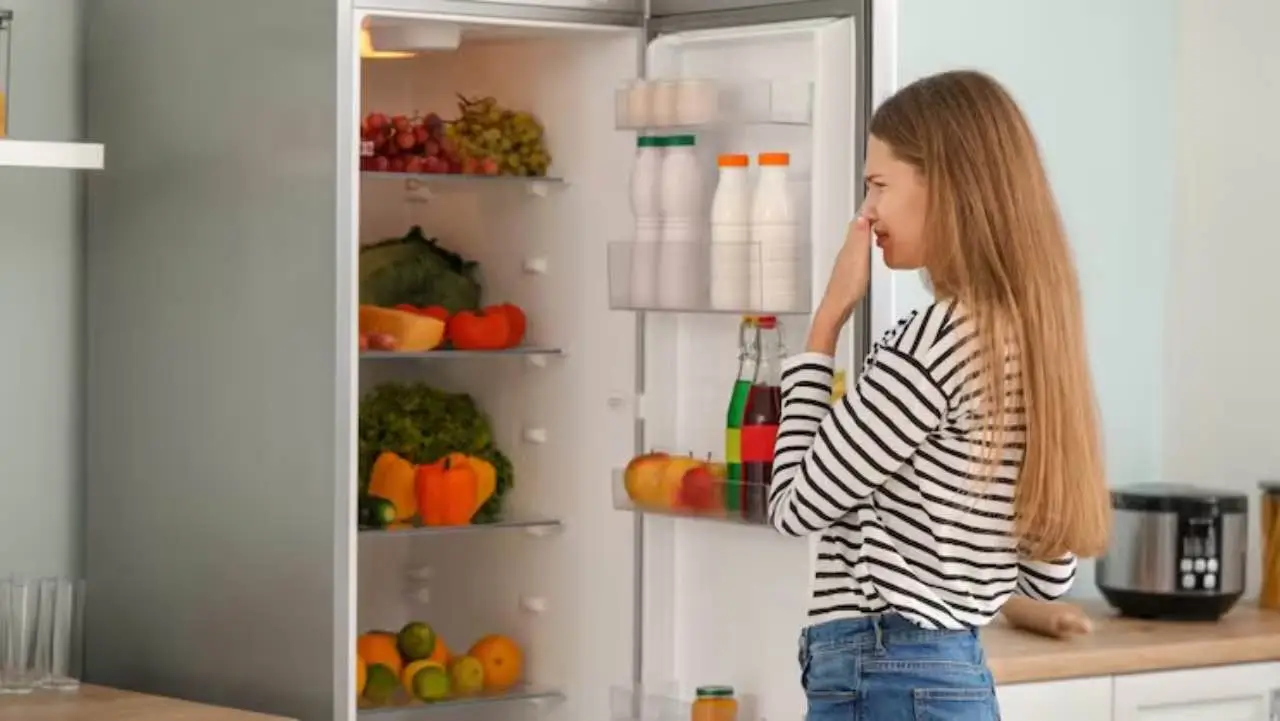 Attenzione! Ecco cosa non va mai messo nel frigo