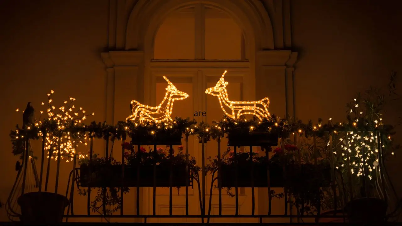 Luci di Natale: il metodo dell’esperto per un perfetto posizionamento