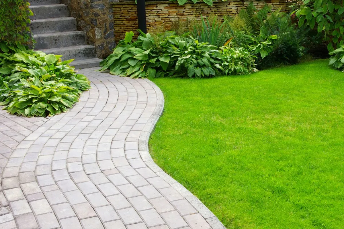 3 tecniche fondamentali da conoscere per la cura del giardino