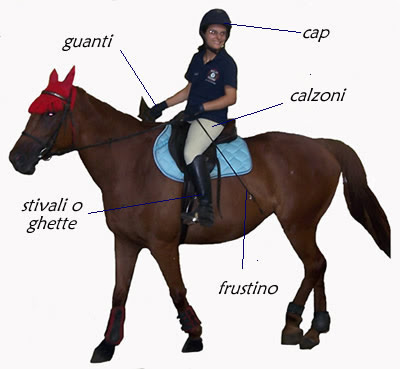 Personalizzato Equestre Equitazione Calzini-procedura guidata Stile 