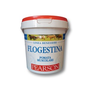 FLOGESTINA GEL ANTIDOLORIFICO PEARSON ANTIREUMATICO DA KG. 1,5